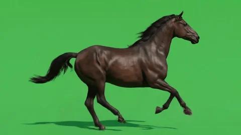 1 (2)