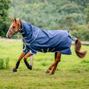 Amigo® 1200D Plus 0G Lite Turnout Blanket + FREE Custom Name Tag!
