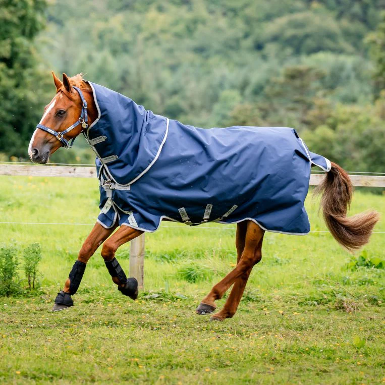 amigo® 1200d plus 100g lite turnout blanket + free custom name tag!