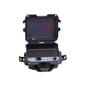gp2 digital pemf device