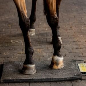 bio pulse™ iron foot
