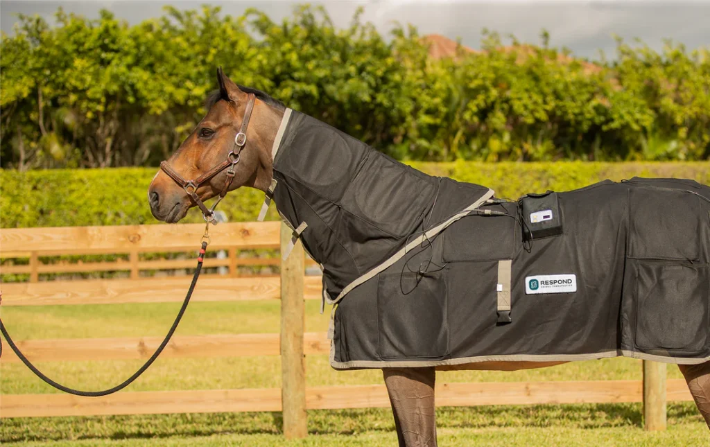 equine pemf machine