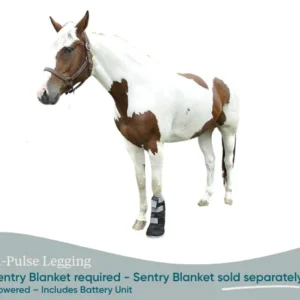 equine pemf leggings/hoof coil pair